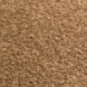 Meet your Posher, Rohaan martin